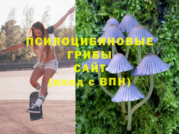 СК Абдулино